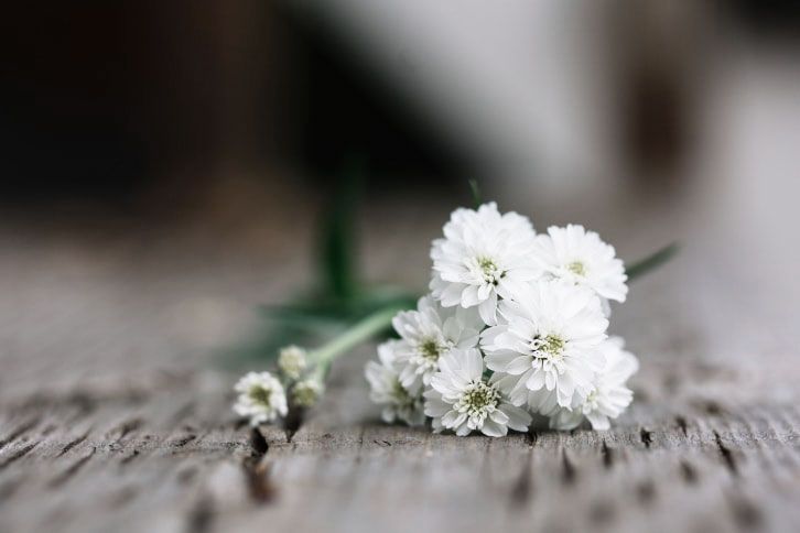Bouquet of white flowers lying on a wood