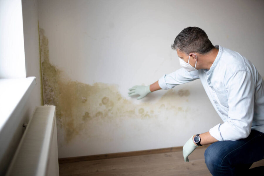 A man wearing gloves and a mask inspects a yellow colored mold on a wall of a home.