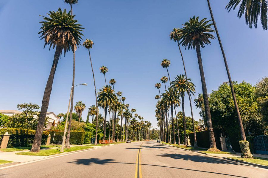 Famous Beverly hills palms in a sunny day