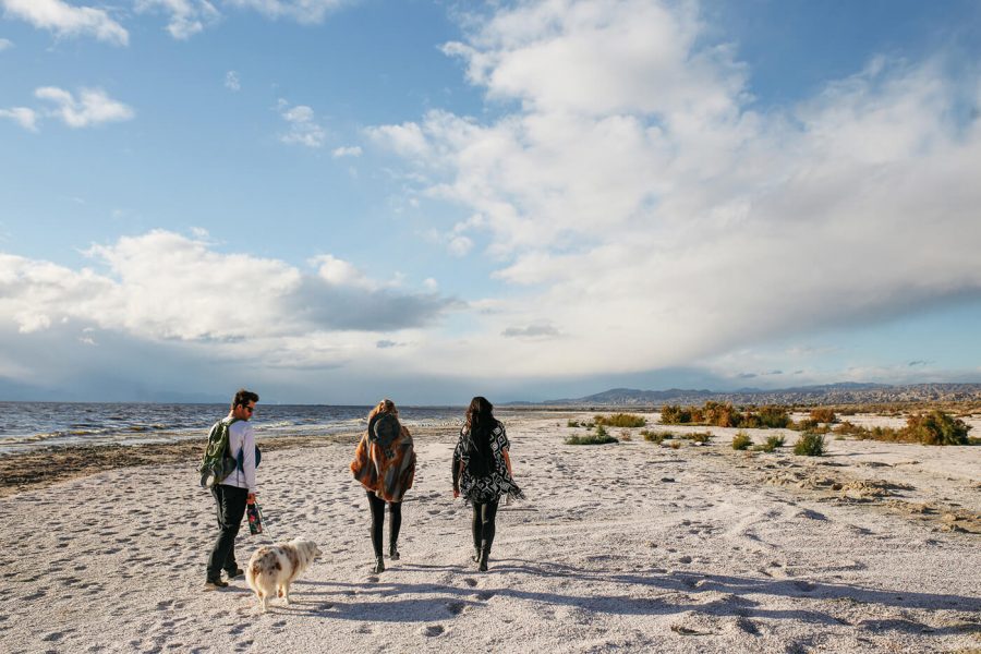 man with dog alongside two women walking on the beach