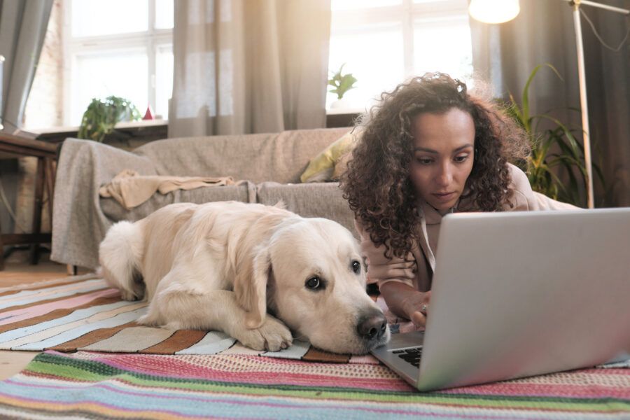 Young woman lying on the floor with her dog and working online on laptop in the room at home
