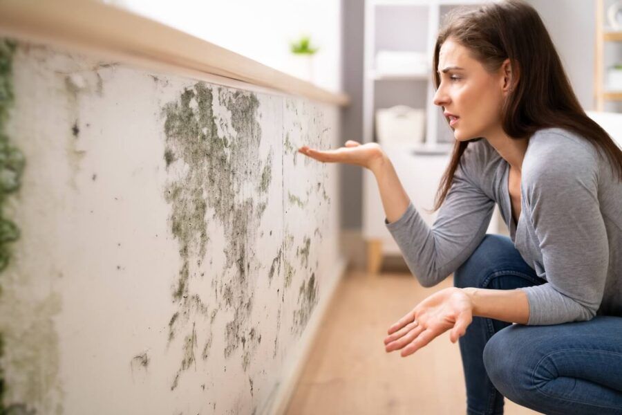 Shocked woman looking at the mold on the wall