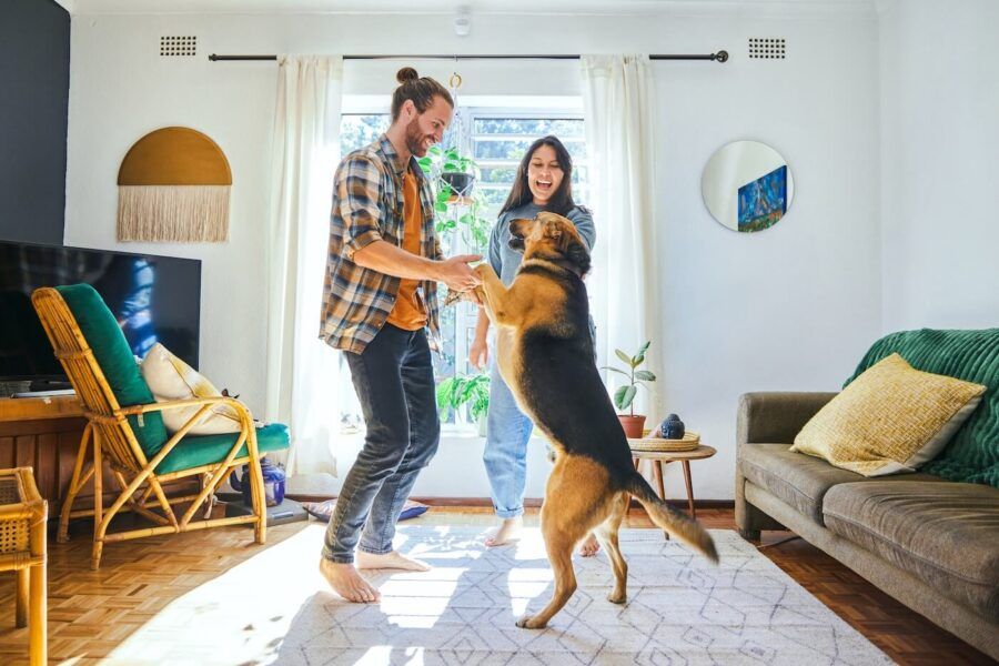 Happy couple playing with their German Shepherd in a sunny living room
