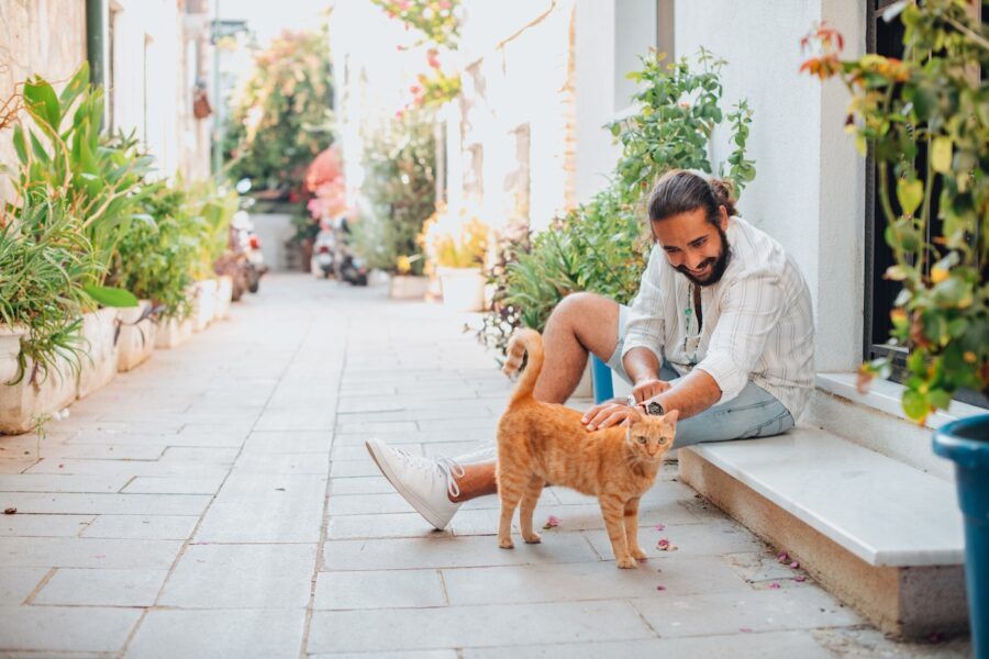Young Man Pets an orange cat on Mediterranean Street.