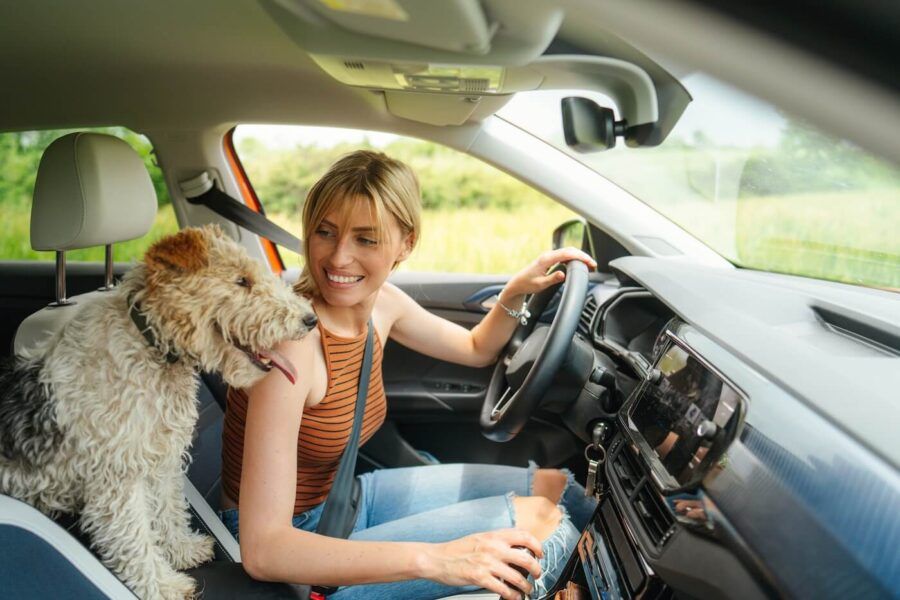 A smiling young woman sitting in a parked car, looking back at a medium-sized dog