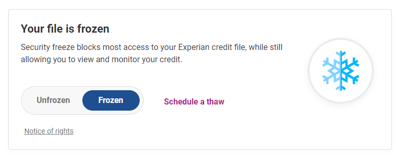 Experian Freeze: Safeguard Your Credit in Simple Steps