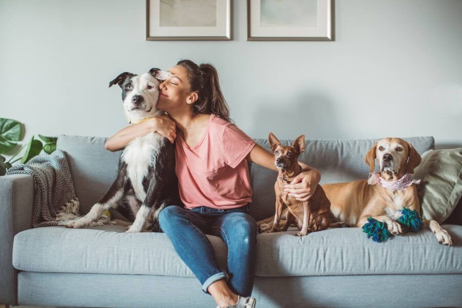 Happy young woman sitting on a sofa with three dogs of different sizes and breeds