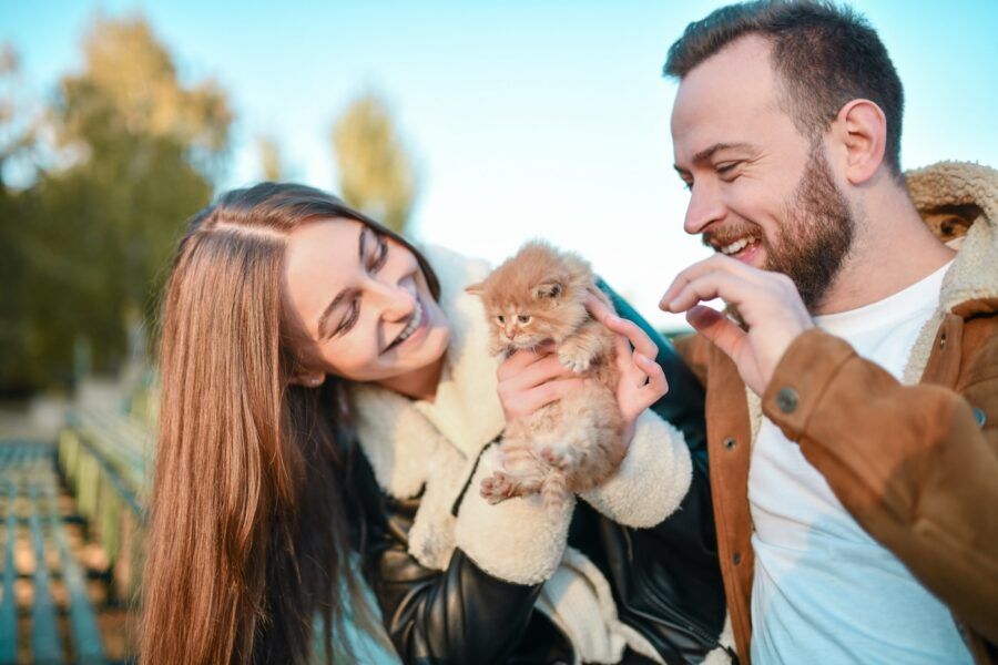 Smiling Couple Playing With Orange Kitten Outside