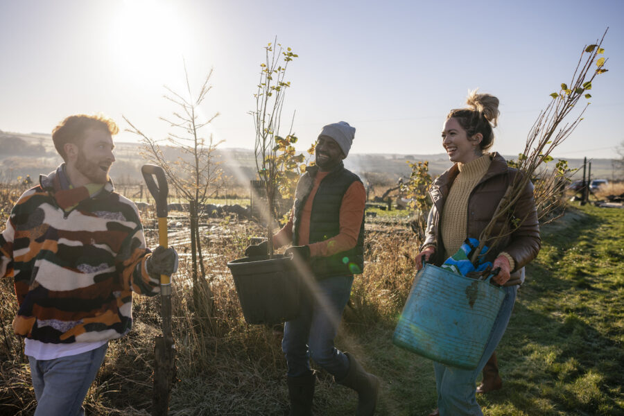 A group of volunteers wearing warm casual clothing and accessories on a sunny cold winters day. They are working in a field with young plants and trees on a community farm, planting trees and performing other sustainable and environmentally friendly tasks.