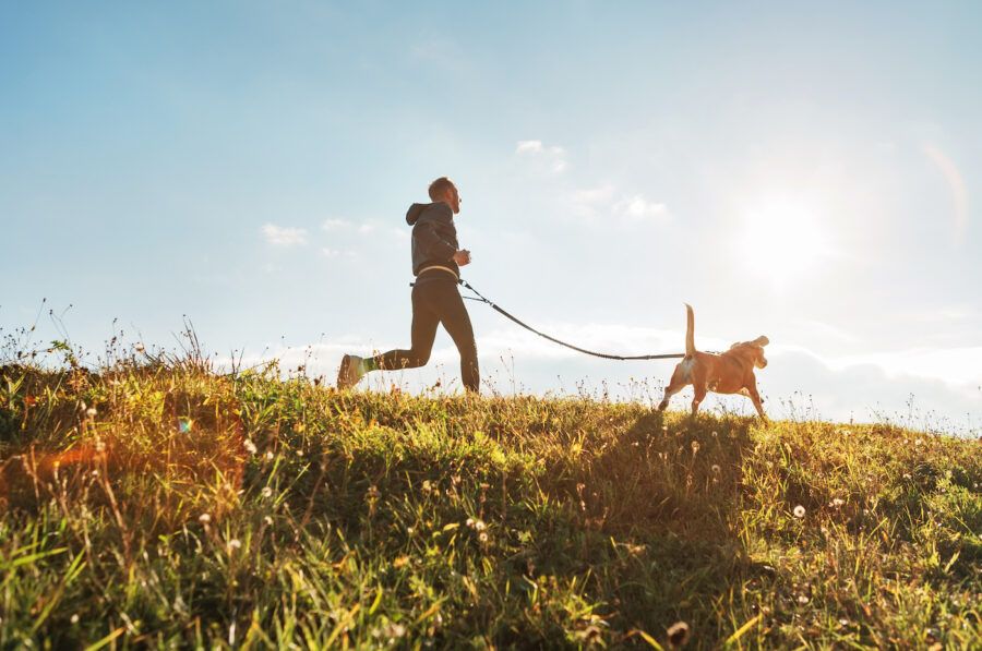 Man runs with his beagle dog at sunny morning