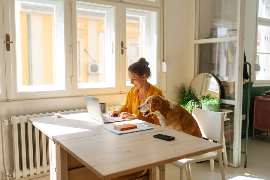 A woman sitting at her laptop next to her dog, reading about how to avoid junk fees.