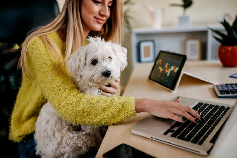 Woman holding a dog trading stocks on a computer at home